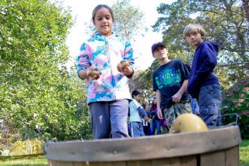 Emily McKeon apple barrel