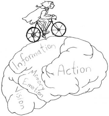 bike brain