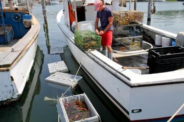 Menemsha lobsterman Wayne Iacono boat