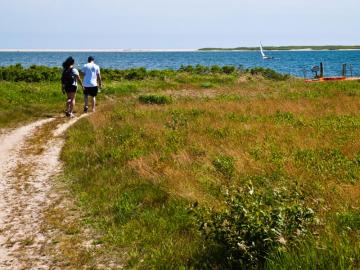 hikers