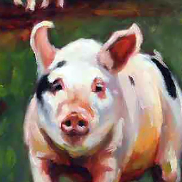 pigs