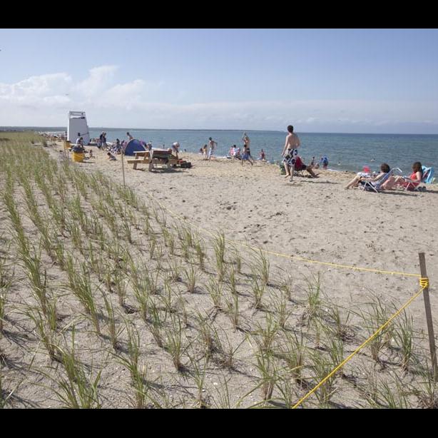 The Vineyard Gazette - Martha's Vineyard News  Documentary Film Follows Luis  Tiant To Cuba Homeland