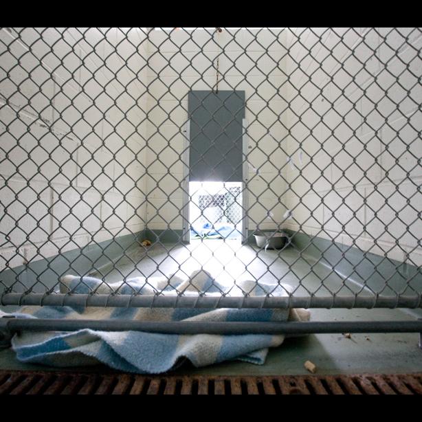 cage