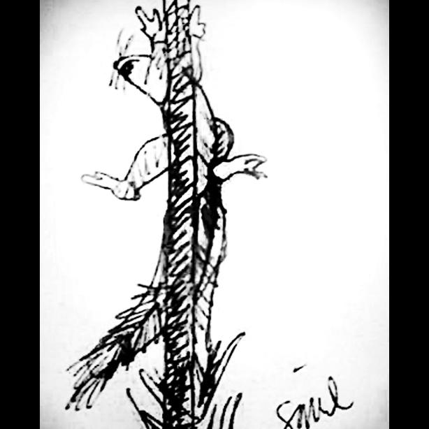 garden illustration