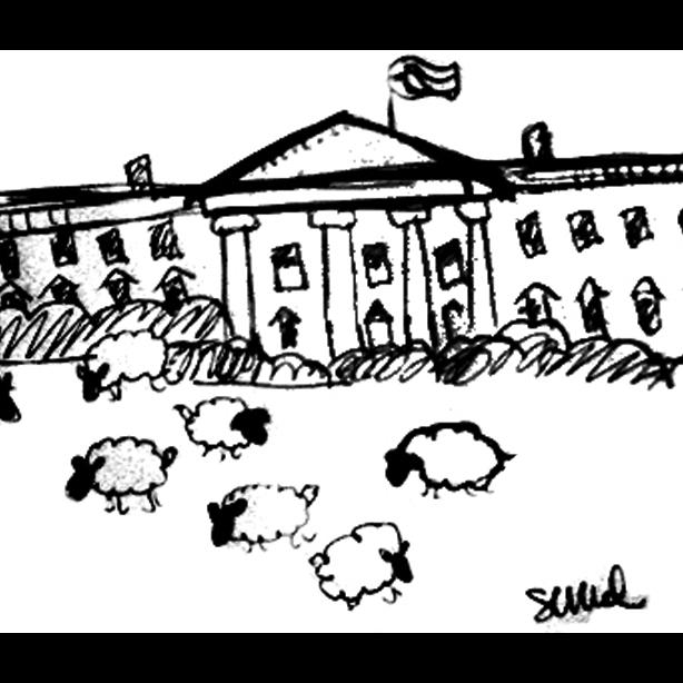 white house