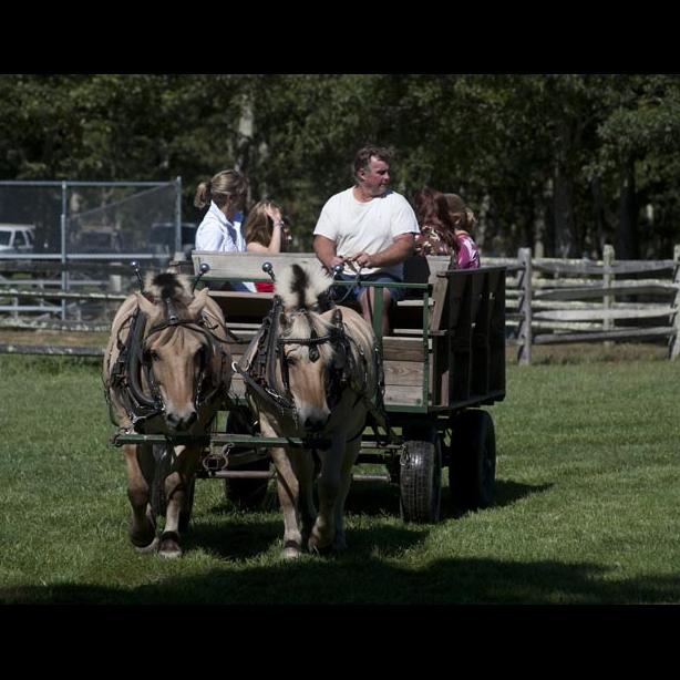 carriage