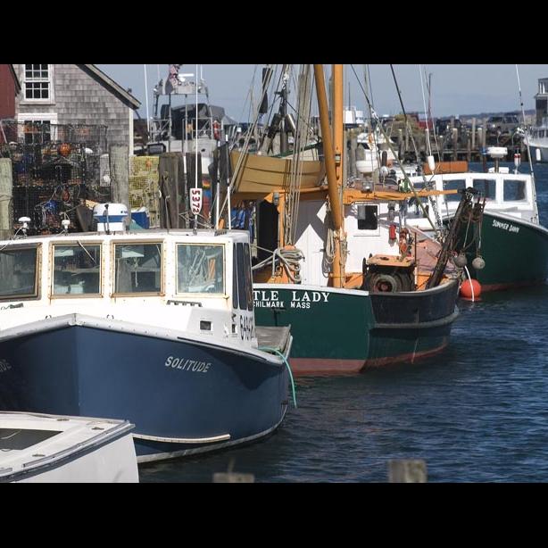 boats