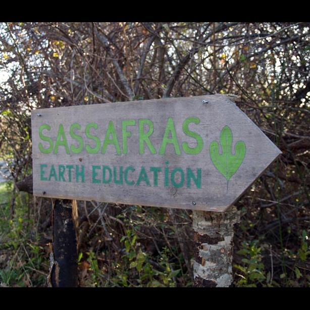 Sassafras sign arrow