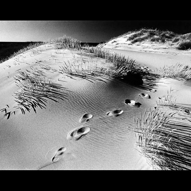dune