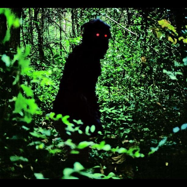 Uncle Boonmee forest monster