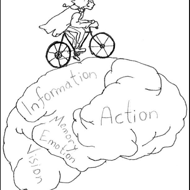 bike brain
