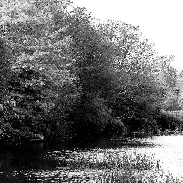 Mill Pond,