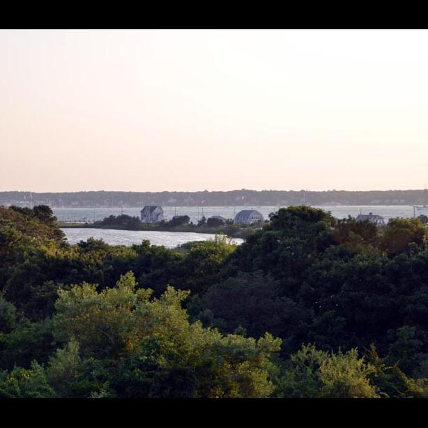 east chop