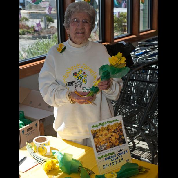 Dorothy Bangs daffodils