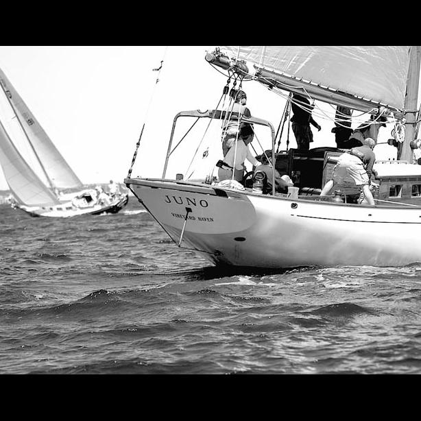 Juno sailboat crew BW