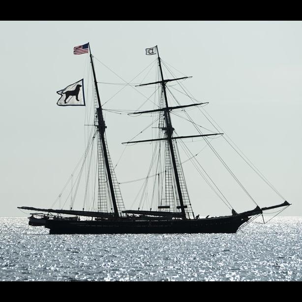 Selling - 1649$, TSD, Affiliate Alliance Sails, Black Dog, Insider 76
