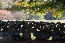 stonewall silhouette