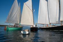 Sailboats of all sizes participate in Salami Cup.