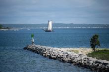 The Amistad passes Eastville Beach jetty on its way into Vineyard Haven Harbor.