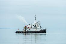 A tug boat was called into service to help move the carcass.