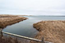 Edgartown Great Pond and the herring creek.
