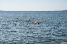 Swimmers from farther afield join the group.