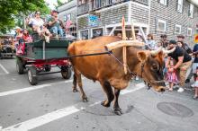 Cecilio and his famous ox Chilmark won "most original" float.