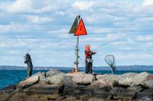 There is always a scene at the jetty in Menemsha.