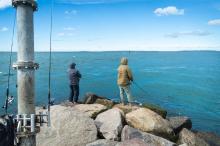 Cold mornings and not too many fish from shore.