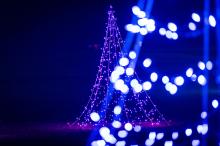 See the blazing yule before us Fa la la la la, la la la la (fa la la la la, la la la la).