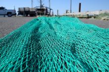 Laying the net out on the pier.