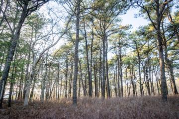 The Vineyard Gazette - Martha's Vineyard News  Home for the Hardware, Trophy  Case Is Packed