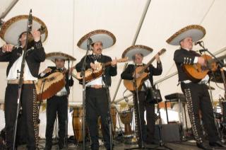 mariachi