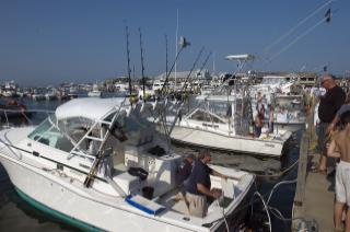 boats