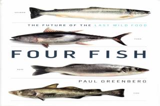 Four Fish