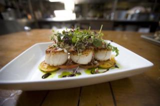 scallops