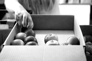 BW box apples