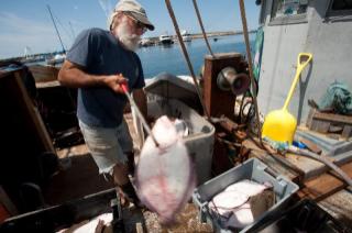 Menemsha Fish House