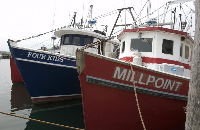 boats