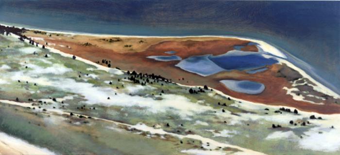 Vast subject matter required large works: Cape Pogue Bay, Oil on wood panel, measures 30 by 66 inches. Cape Pogue Painting