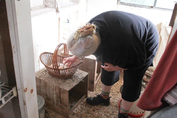 Katherine eggs coop