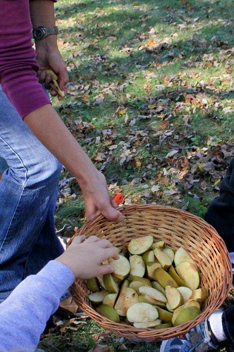 apple slices basket