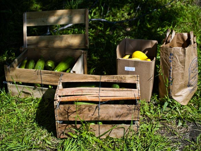 boxed produce