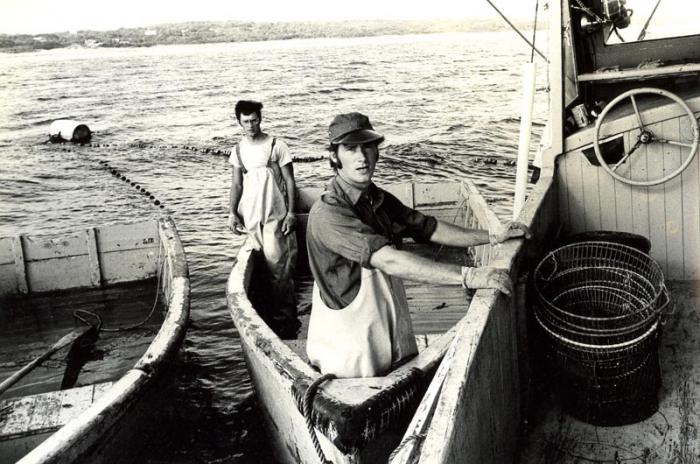 Unlike past trap fishermen, Mr. Murphy, with brother David, used two skiffs tied stern to stern.