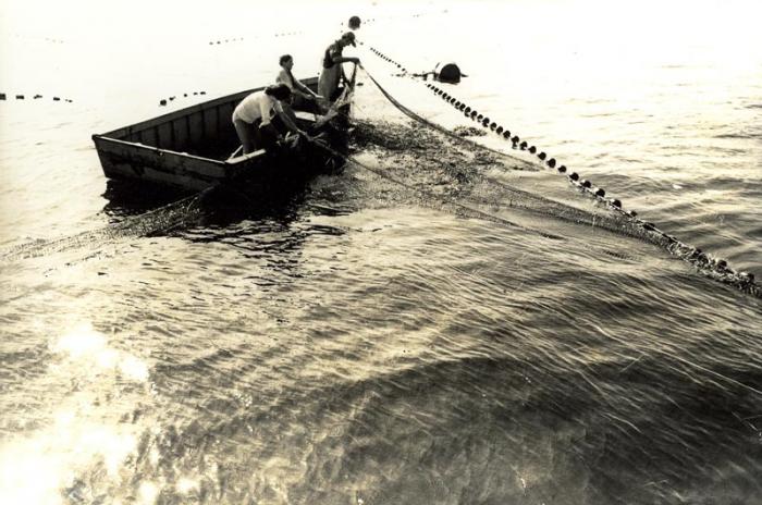 Mr. von Mehren and Mr. Murphy haul trap, the first rigged in Vineyard Sound in 30 years.