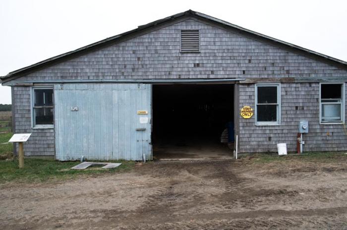 Katama Farm was one of Edgartown's earliest conservation purchases, and today is leased by the nonprofit Farm Institute.