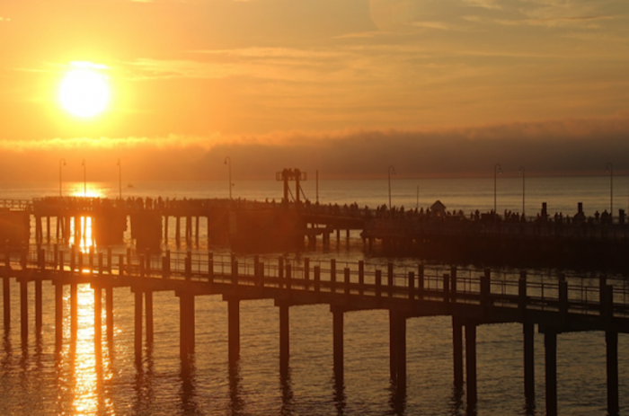 Rise and shine, anglers! The Steamship Authority wharf was full at sunrise Sunday for the kids' derby.
