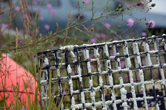 Partly because of a new regulatory system, there are few groundfish permits on the Vineyard.