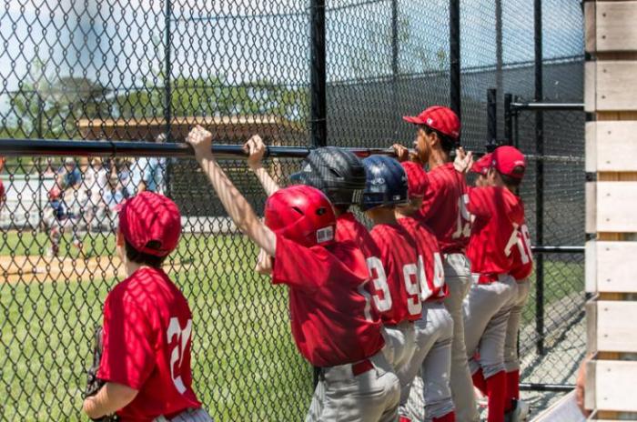 Penn Field in Oak Bluffs is new home for Martha's Vineyard Little League thanks to MVYouth.