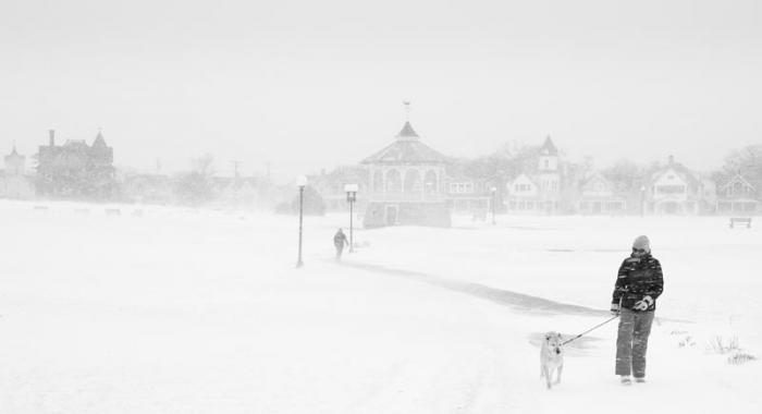 Alison Shaw was tops in the pictorial photo category for this photograph taken after a blizzard last year.